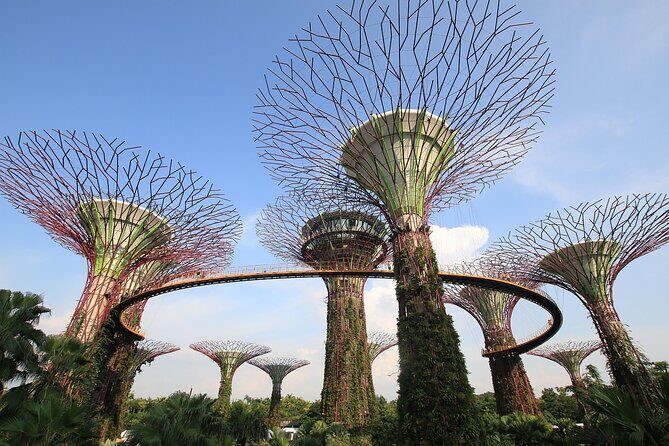 4 Hours - Singapore Tour in Private Car or Minibus with Driver - How the Driver Experience Shapes the Day