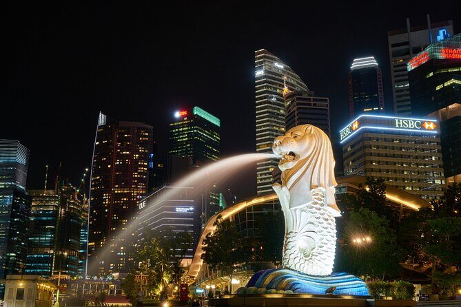 4 Hours - Singapore Tour in Private Car or Minibus with Driver - Little India: Color, Smells, and a Different Side of the City
