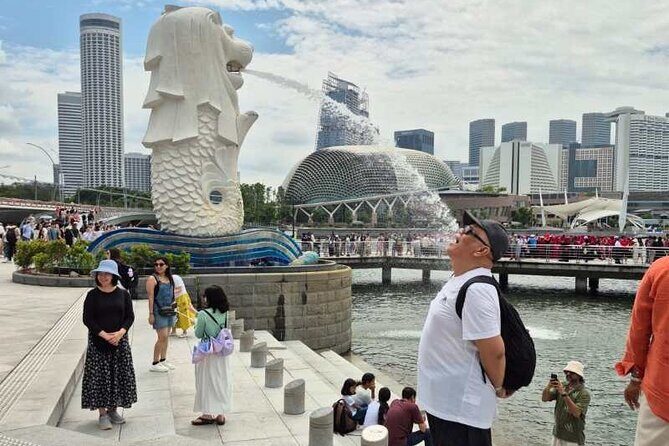 Airport to City and Food Private Tour for Layover and Transit - Kampong Glam and Chinatown: Two Neighborhoods, One Guided Read