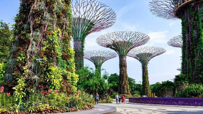 Best of Singapore: Private Walking Tour with a Local - Choosing between Botanic Gardens and Gardens by the Bay