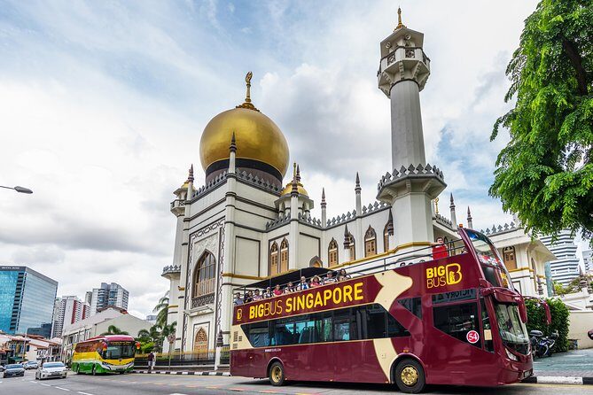 Big Bus Singapore Hop-On Hop-Off Tour - Open-top comfort: heat, rain, and photo frustration