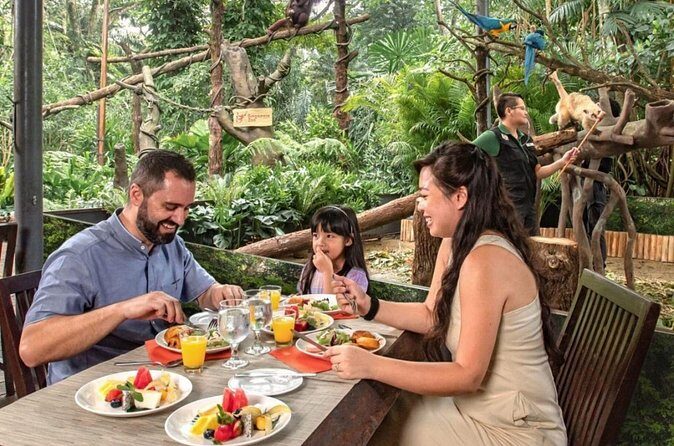 Breakfast In the Wild at Singapore Zoo Promo - The buffet: more than just fuel