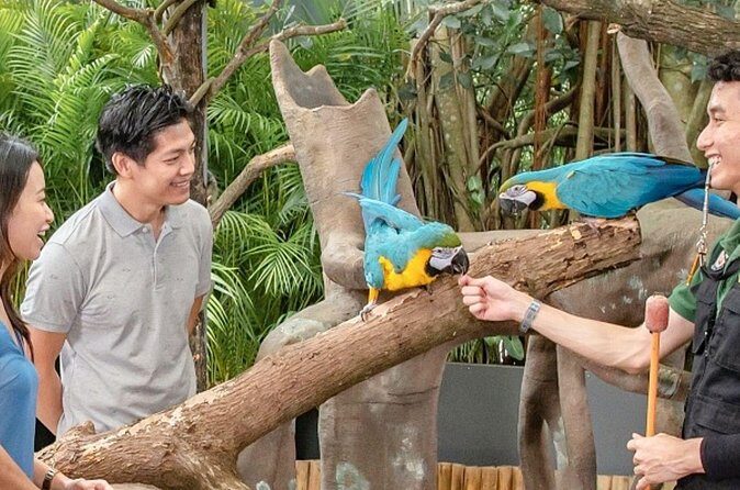 Breakfast In the Wild at Singapore Zoo Promo - Group size and pace: what max 15 means for your morning