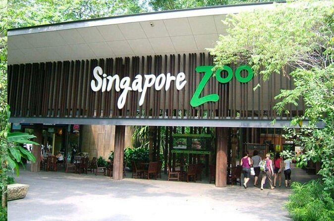 Breakfast In the Wild at Singapore Zoo Promo - Who this experience suits best