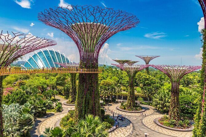 City Tour+Gardens by the Bay(FlowerDome&JurassicWorld) Transfers - Flower Dome and Supertree views with time limits