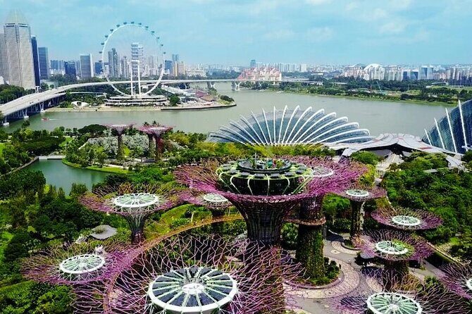 City Tour+Gardens by the Bay(FlowerDome&JurassicWorld) Transfers - Transfers and timing: why this feels tight (and how to make it easy)