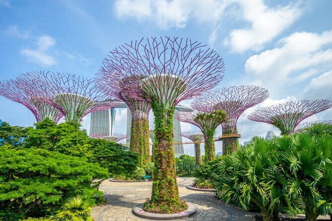 eSIM 4G/5G Data for Asia 8 Areas Singapore Thailand MY VN HK TW - “Tour” stages to think about: from activation to last day