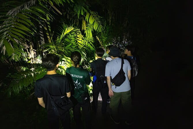 Explore a Rainforest teeming with Wildlife at Night! - Key things you’ll notice on this night walk