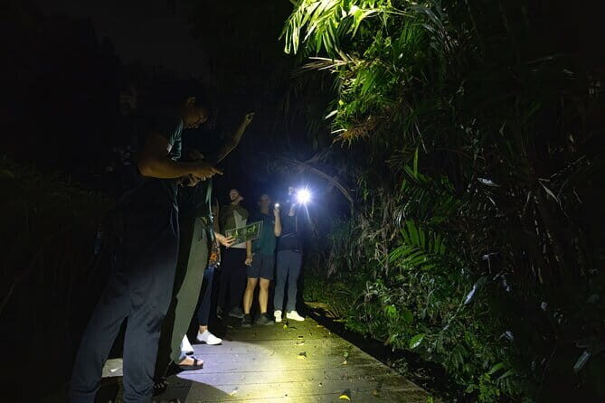 Explore a Rainforest teeming with Wildlife at Night! - Why Singapore feels different when the lights go out