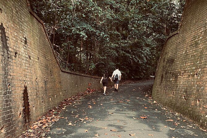 Exploring Singapore’s Forgotten Hills - Logistics that matter: timing, meeting points, and pacing
