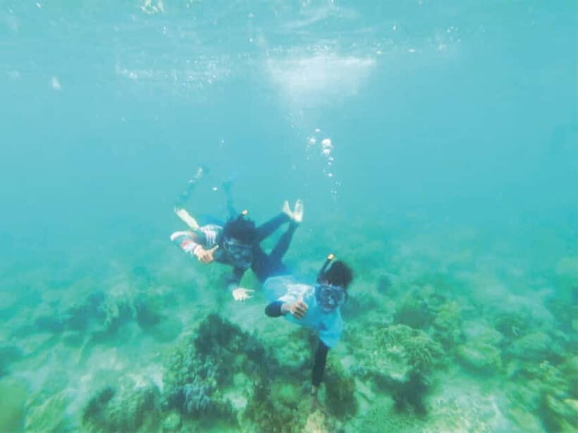 From Singapore : Private Batam Island Snorkeling and Canoe - Key Points You’ll Care About