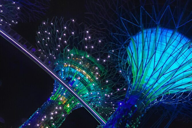 Garden by the Bay Singapore combo - Flower Dome: a world of themed gardens under glass