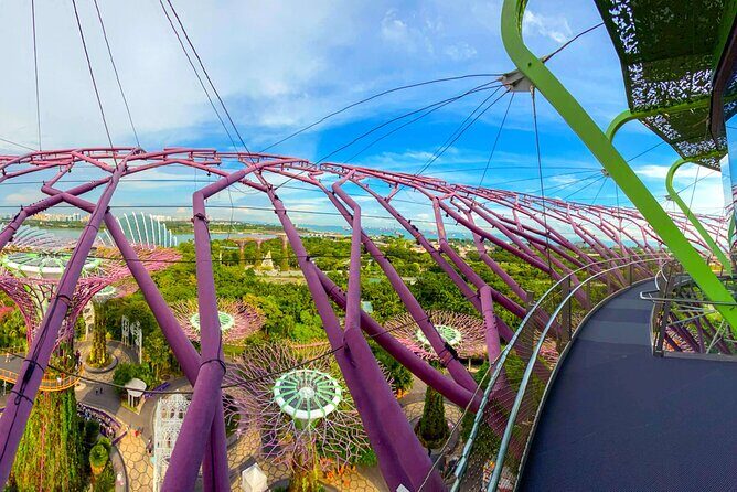 Garden by the Bay Singapore combo - OCBC Skyway: a suspended walkway between Supertrees