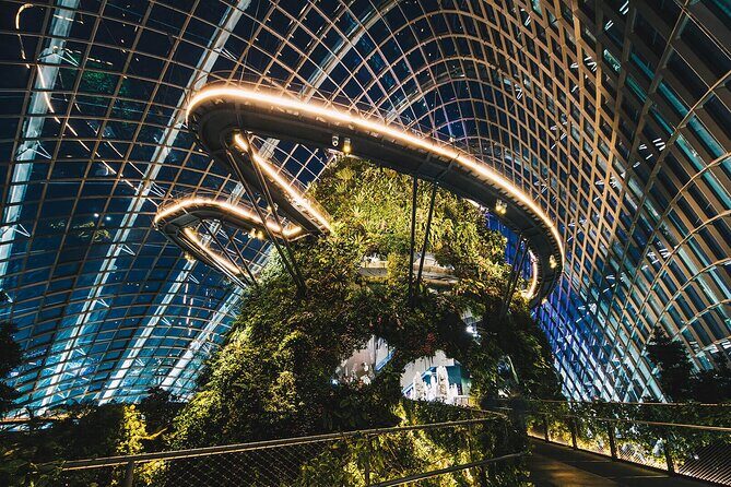 Garden by the Bay Singapore combo - Supertree Grove and Garden Rhapsody: free night magic