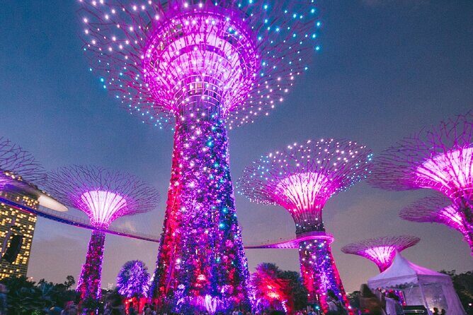 Garden by the Bay Singapore combo - Optional Marina Bay Sands SkyPark: best views, strict timing
