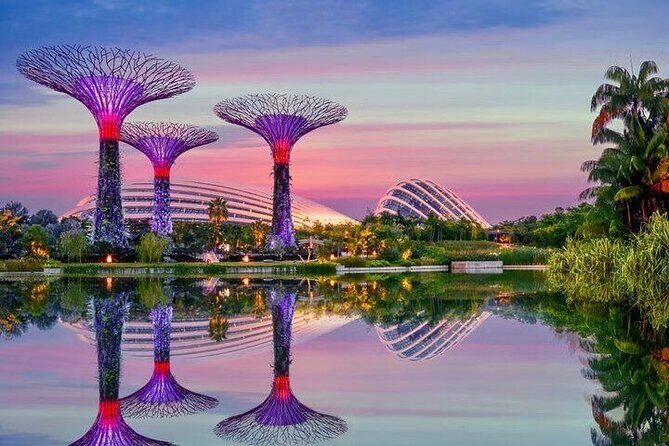 Gardens by the Bay E - Ticket with Flower Dome +CF Singapore - Gardens by the Bay in 2 hours: the smart way to see both domes