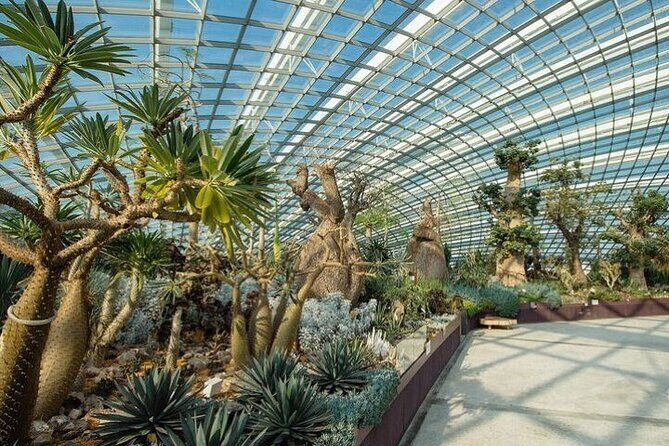 Gardens by the Bay E - Ticket with Flower Dome +CF Singapore - Free nighttime light show: plan your timing without overthinking it