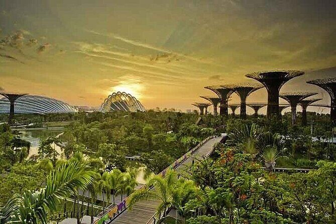 Gardens by the Bay E - Ticket with Flower Dome +CF Singapore - Who should book this, and who might want a different plan