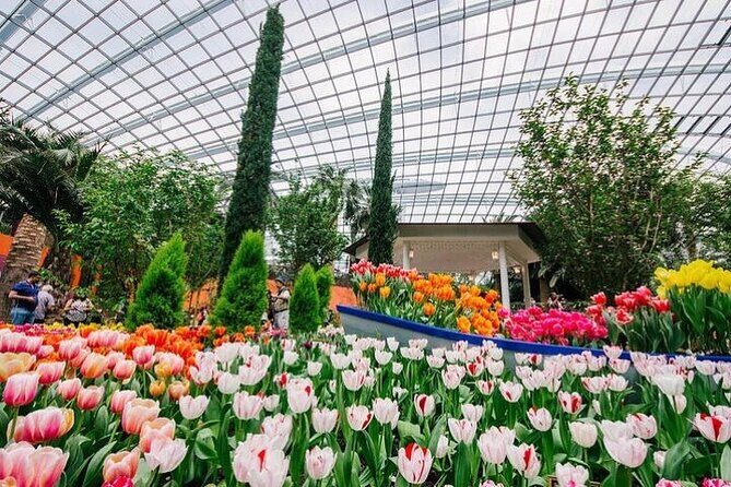 Gardens by the Bay E - Ticket with Flower Dome +CF Singapore - Cloud Forest’s indoor waterfall and Jurassic World animatronics