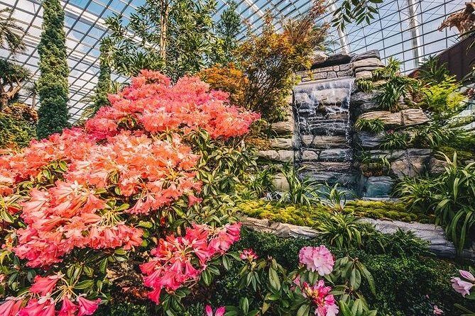 Gardens By The Bay E-Tickets - Floral Fantasy: Floral Artistry Made From Live and Preserved Plants