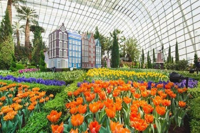 Gardens By The Bay E-Tickets - Which Gardens Are You Actually Getting: Your Ticket Options Matter
