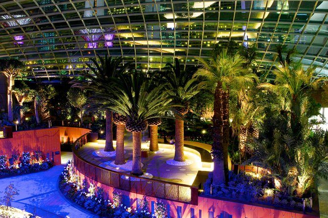Gardens By the Bay Exp Event - Bay South and the Super Trees: the easiest wow moment