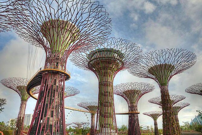 Gardens By the Bay Exp Event - Flower Dome: a cool, dry break with plants from multiple climates