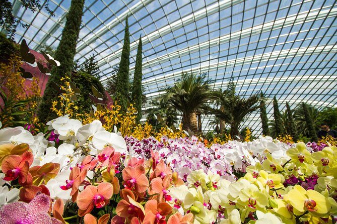 Gardens By the Bay Exp Event - Bay East, pavilions, and the lakes that add calm