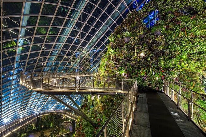 Gardens By the Bay Exp Event - Cloud Forest: the 35-metre indoor waterfall and misty jungle time