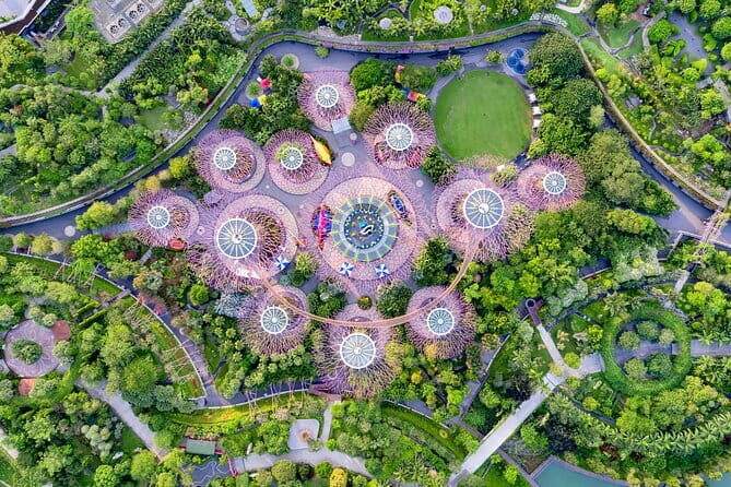 Gardens by the Bay Guided Tour - Key highlights