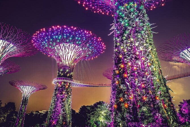 Gardens by the Bay Guided Tour - Who this guided tour suits best