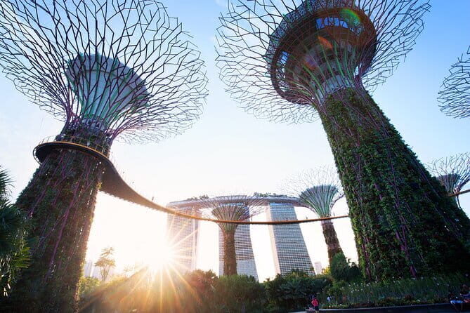 Gardens by the Bay Guided Tour - Cloud Forest: waterfall views, orchids, carnivorous plants, and a bridge