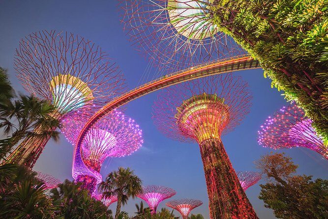 Gardens by the Bay with 2 Flower Dome + Marina Bay Sands Skypark - Key things to know before you go