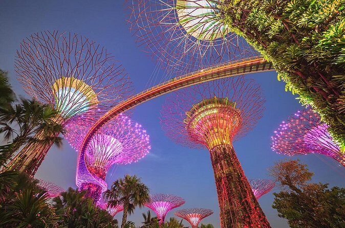 Gardens by the Bay with 2 Flower Dome + Marina Bay Sands Skypark - OCBC Skyway and the view angle you can actually use
