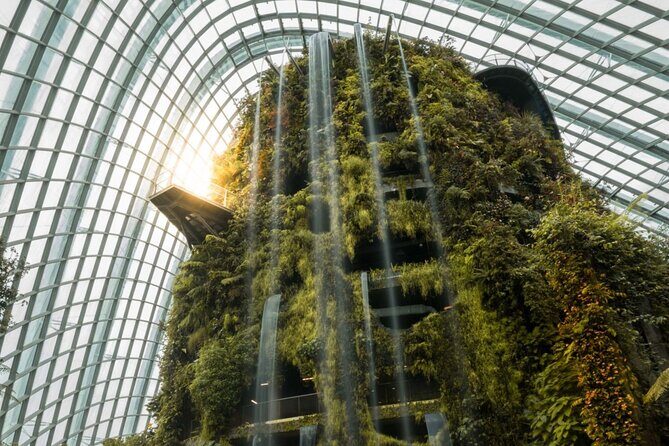 Gardens by the Bay with 2 Flower Dome + Marina Bay Sands Skypark - Supertrees at night: the free show you should plan around