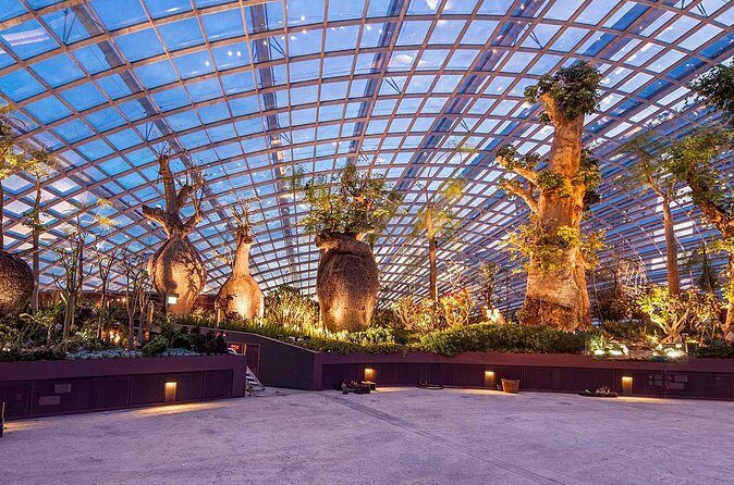 Gardens by the Bay with 2 Flower Dome + Marina Bay Sands Skypark - Price and what you actually get for $154.35