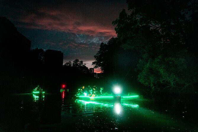 Glow Kayak Night Adventure in the Mangroves - Entering the glow: what makes this kayak tour different in Singapore