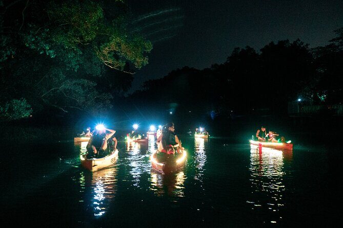 Glow Kayak Night Adventure in the Mangroves - Api Api River: the smaller waterway that makes the night feel calmer