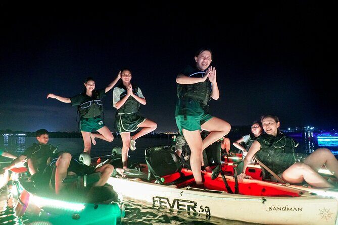 Glow Kayak Night Adventure in the Mangroves - Wildlife spotting: how to get more from the dark water (without stressing out)