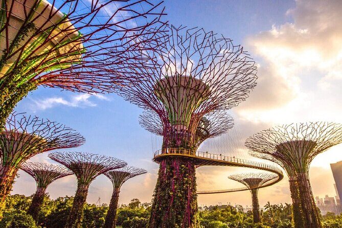 Half Day Private Guided Tour through Singapore's Iconic Landmarks - Price and Value: When $347.06 Actually Feels Fair