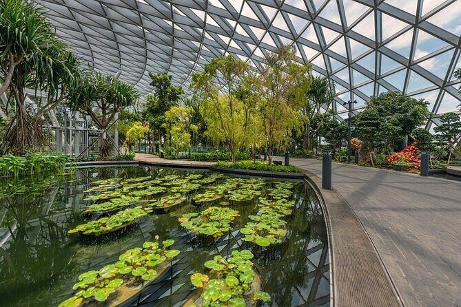 Jewel Changi Airport: Canopy Park Admission Ticket - Timing Your Visit: Opening Hours and Planning for a 1-Day Stop