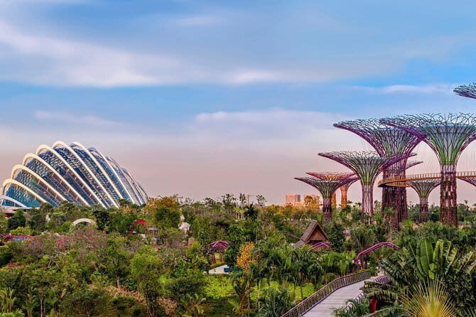 Jewel Changi Airport Canopy Park Tickets - Rain Vortex setting: why the views feel worth the walk