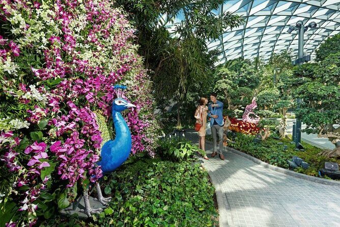 Jewel Changi Airport: Hedge Maze and Canopy Park Ticket - Hedge Maze: a giant clue hunt where patience matters