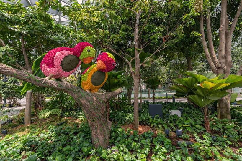 Jewel Changi Airport: Sky Nets Admission Ticket - Jewel Changi Sky Nets in real-life terms