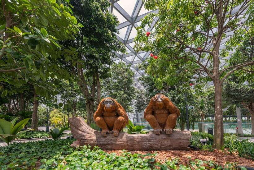 Jewel Changi Airport: Sky Nets Admission Ticket - Bouncing Net: jump on the mid-air trampoline