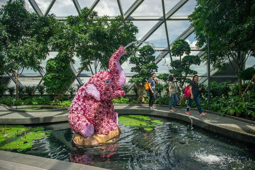 Jewel Changi Airport: Sky Nets Admission Ticket - Timing your day at Jewel Changi (so it doesn’t feel rushed)