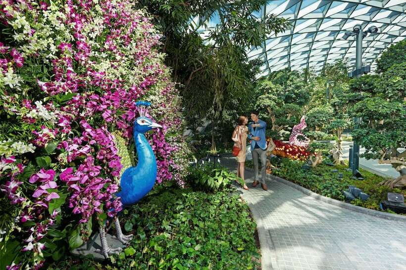 Jewel Changi Airport: Sky Nets Admission Ticket - Price value: is $12 a fair deal?