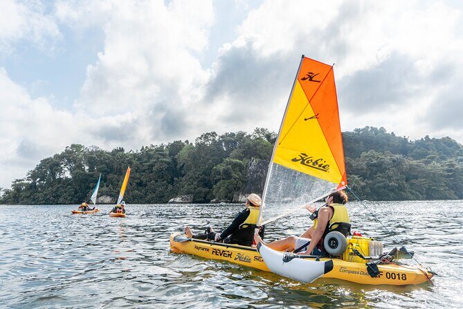 Kayak Sailing in Singapore, Mangrove, Kelong & Pulau Ubin, Seafood Meal Included - Mangrove maze time: where wildlife can show up close