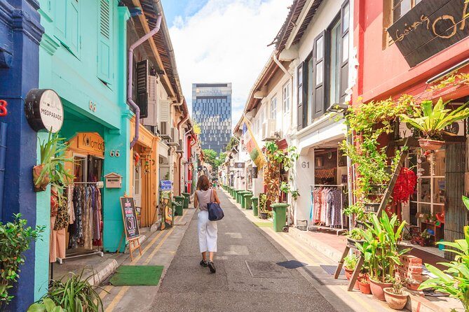 Kickstart Your Trip To Singapore With A Local: Private & Personalized - Stop 2: An older preserved district with clan associations and street art