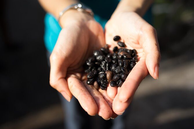 Kopi & Loti - Bedok coffee roastery: Where kopi takes its flavor